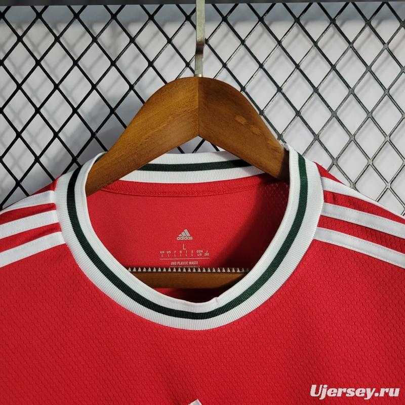 2022 Wales Home Soccer Jersey