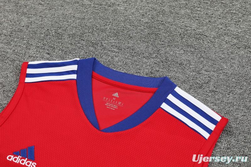 23-24 Bayern Munich Red/Blue Vest Jersey+Shorts