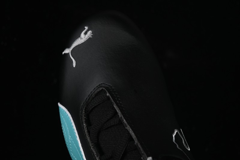 Puma Sparco Future Round Toe Lace-Up Low-Top Lifestyle Casual Shoes in Leather and Fabric - 308155-01