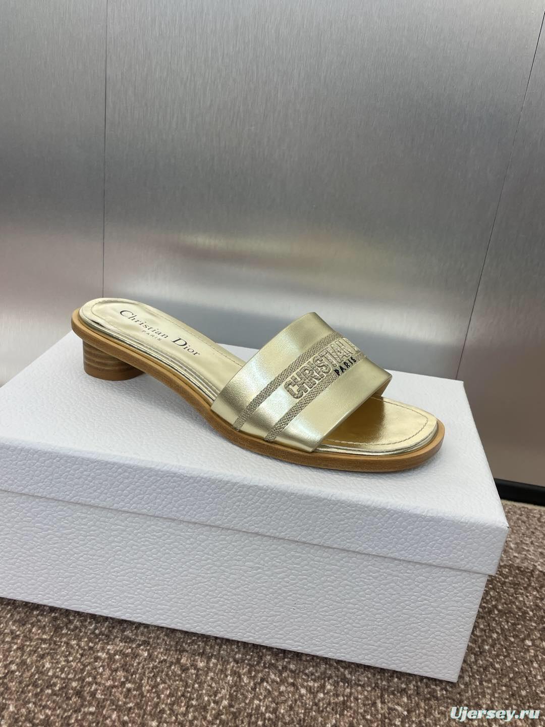 2025 Women Dior Gold Leather Slippers CHRISTIAN DIOR PARIS