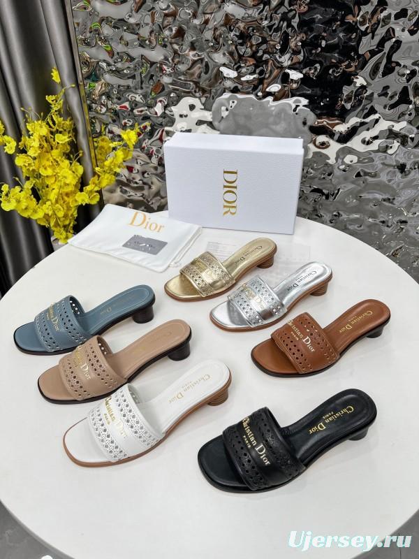 2025 Women Dior Blue Leather Slide Sandals LY00210