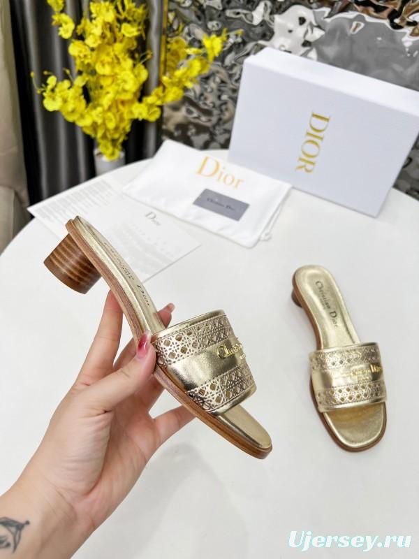 2025 Women Dior Gold Leather Slides
