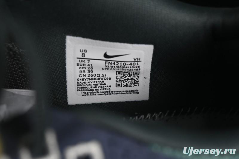 Nike SB Day One Low Casual Skate Shoes - FN4210-401