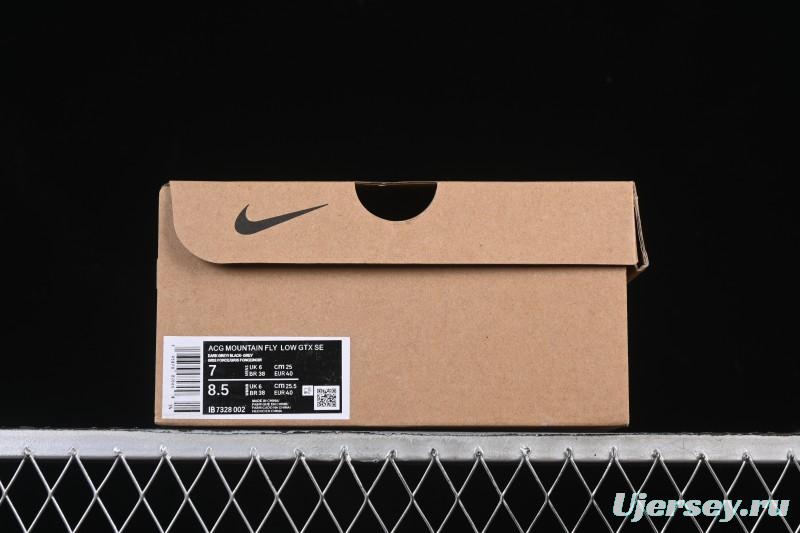 Nike ACG Mountain Fly Low GTX SE Outdoor Hiking Shoes - IB7328-002