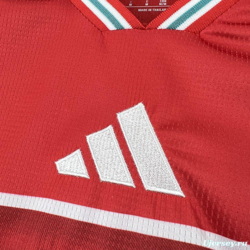 2026 Mens Wales World Cup Home Jersey